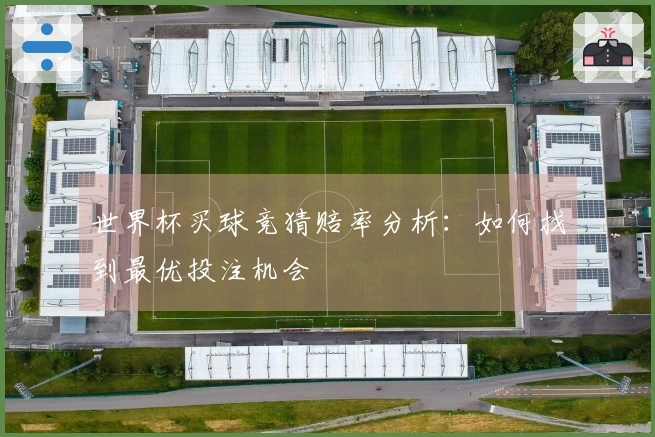 世界杯买球竞猜赔率分析：如何找到最优投注机会