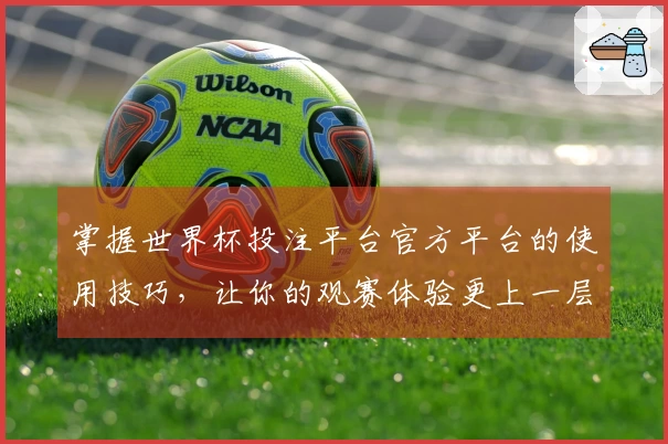 掌握世界杯投注平台官方平台的使用技巧，让你的观赛体验更上一层楼