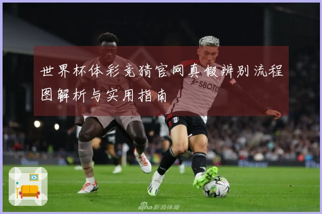 世界杯体彩竞猜官网真假辨别流程图解析与实用指南