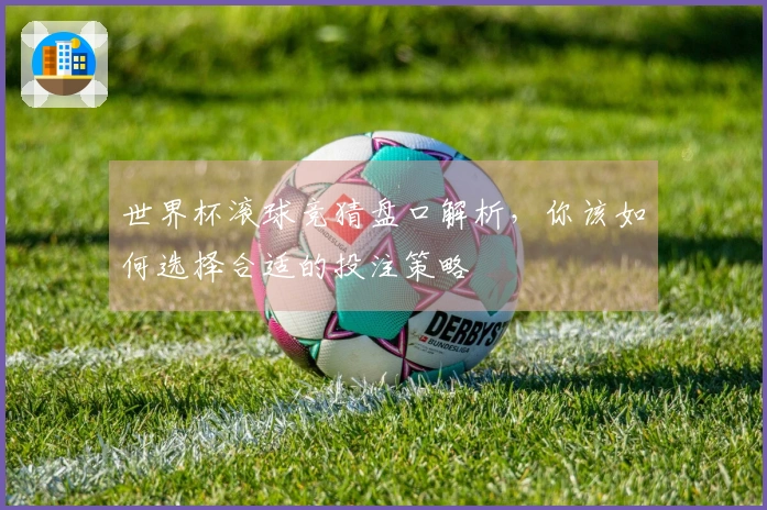 世界杯滚球竞猜盘口解析，你该如何选择合适的投注策略