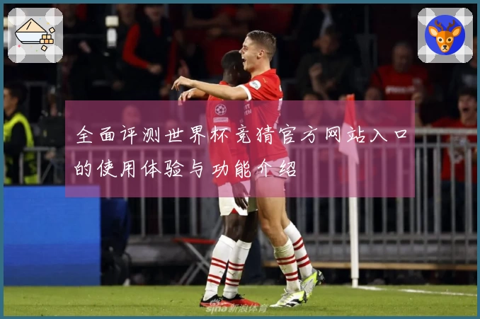 全面评测世界杯竞猜官方网站入口的使用体验与功能介绍