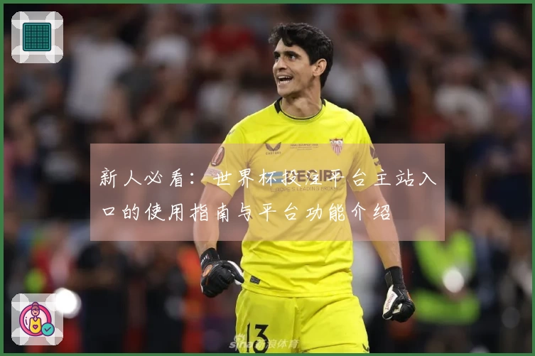 新人必看：世界杯投注平台主站入口的使用指南与平台功能介绍