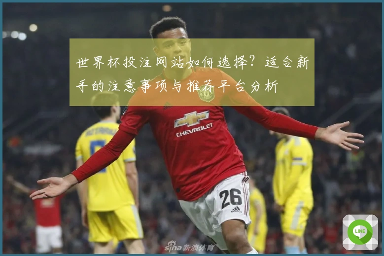 世界杯投注网站如何选择？适合新手的注意事项与推荐平台分析