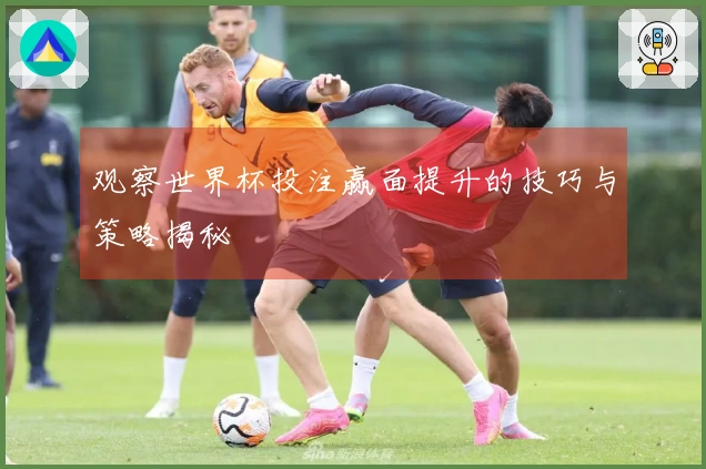 观察世界杯投注赢面提升的技巧与策略揭秘
