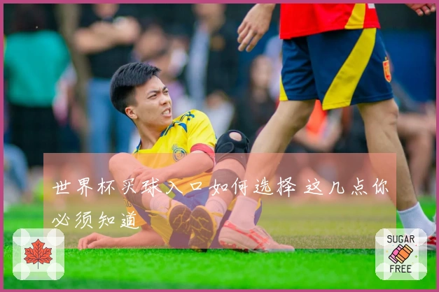 世界杯买球入口如何选择 这几点你必须知道