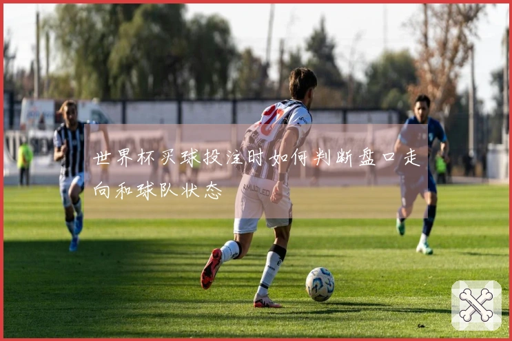 世界杯买球投注时如何判断盘口走向和球队状态