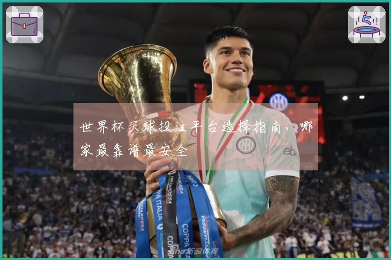 世界杯买球投注平台选择指南，哪家最靠谱最安全