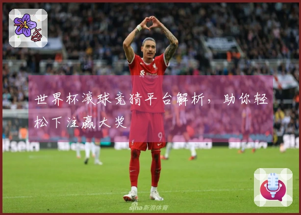 世界杯滚球竞猜平台解析，助你轻松下注赢大奖