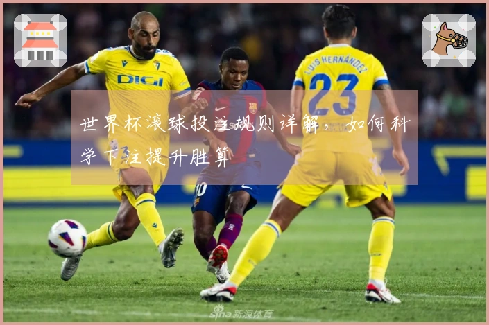 世界杯滚球投注规则详解，如何科学下注提升胜算