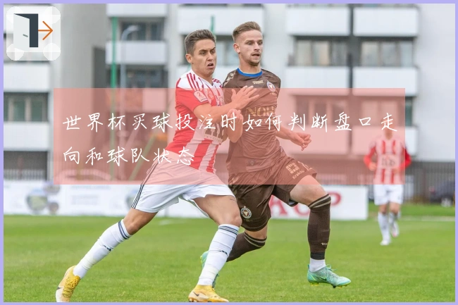 世界杯买球投注时如何判断盘口走向和球队状态