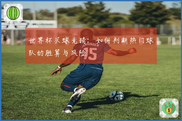 世界杯买球竞猜：如何判断热门球队的胜算与风险