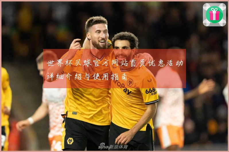 世界杯买球官方网站首页优惠活动详细介绍与使用指南