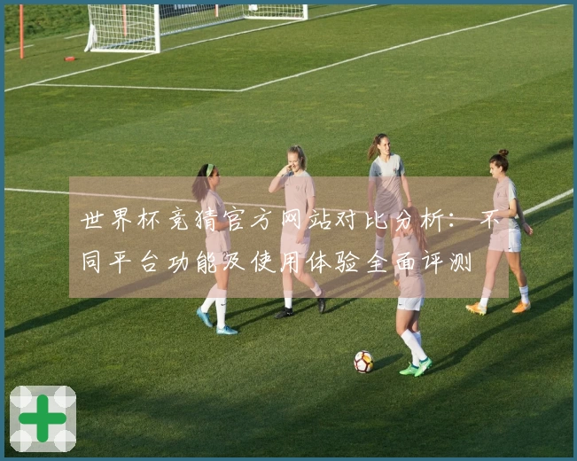 世界杯竞猜官方网站对比分析：不同平台功能及使用体验全面评测