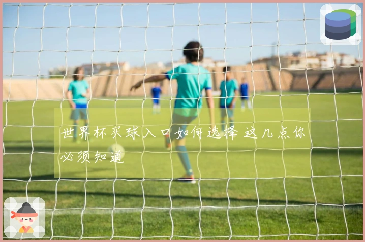 世界杯买球入口如何选择 这几点你必须知道